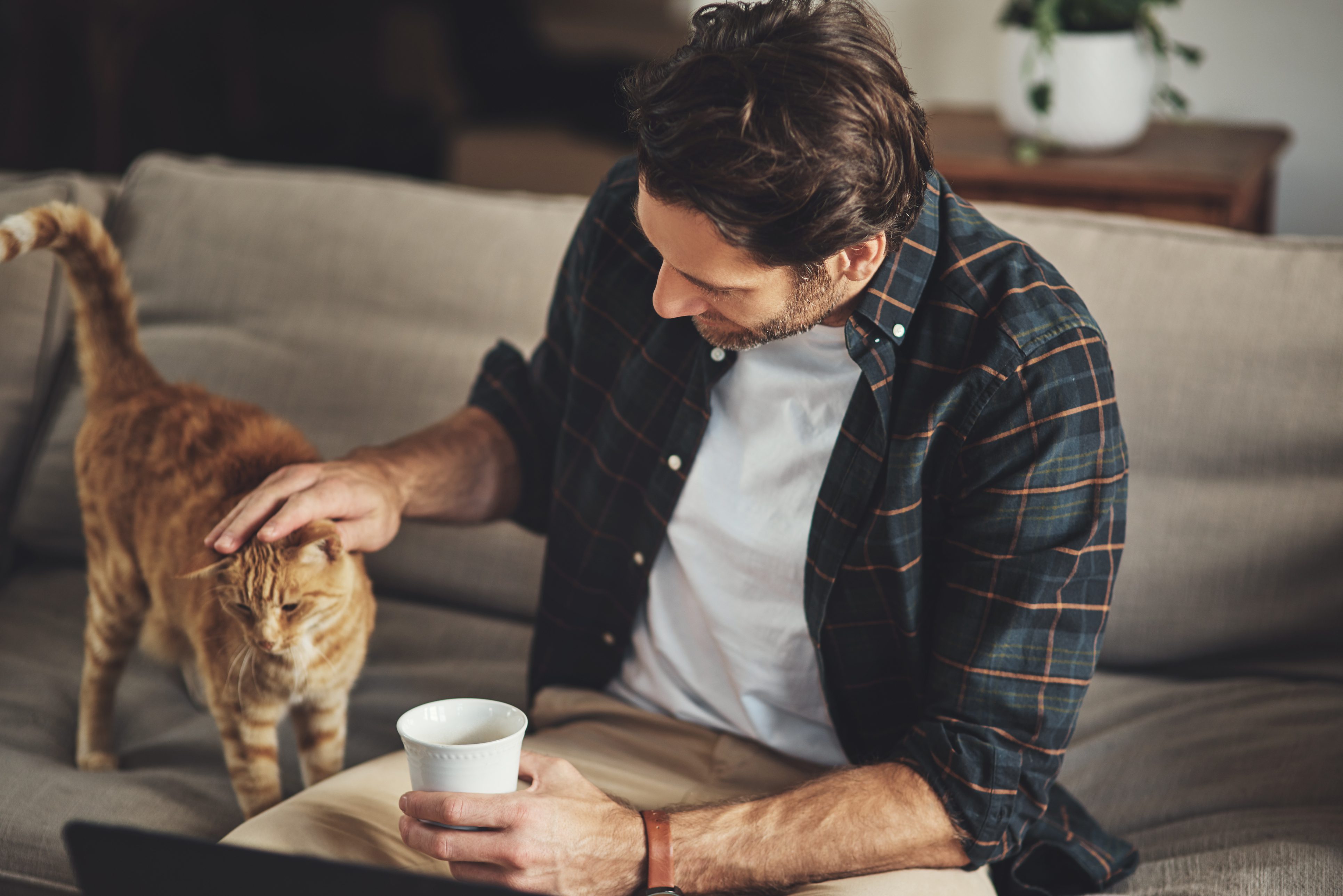 Are Single Men With Cats Less Likely To Find Relationships On Dating Apps?