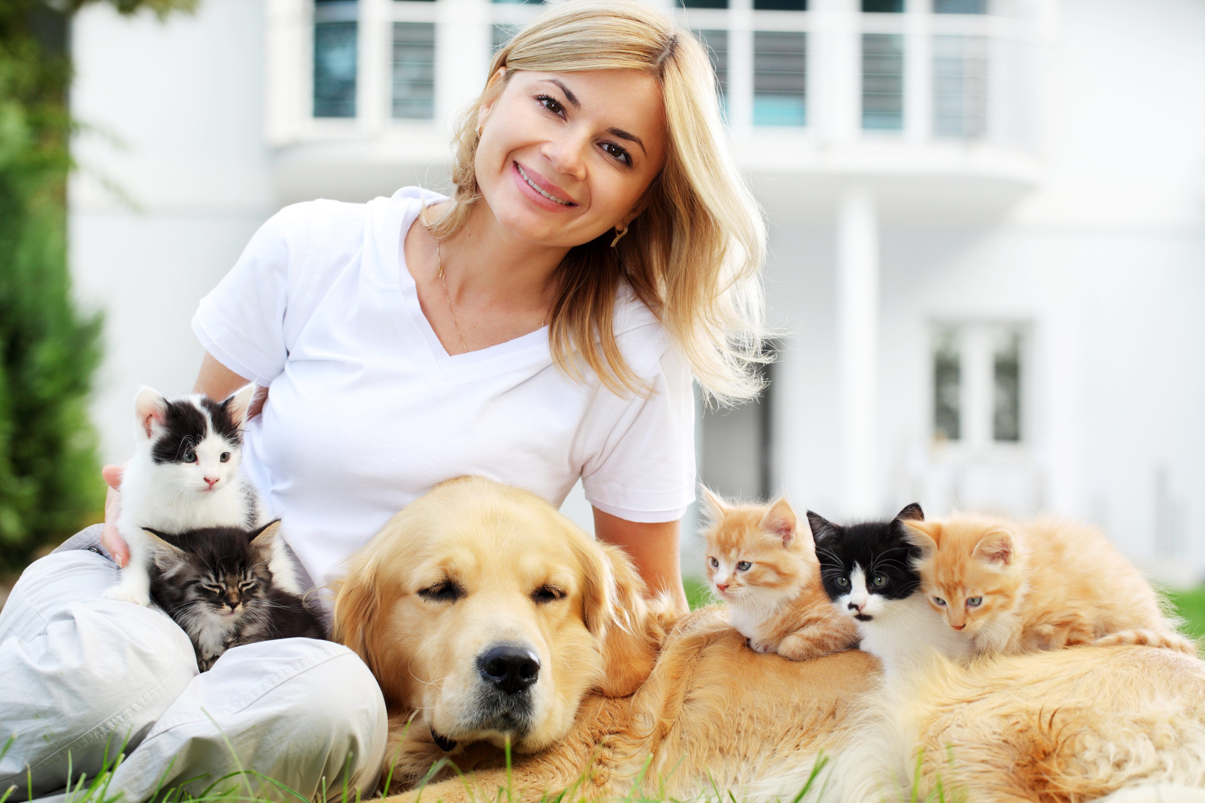 Online Dating: How Many Pets Is Too Many?